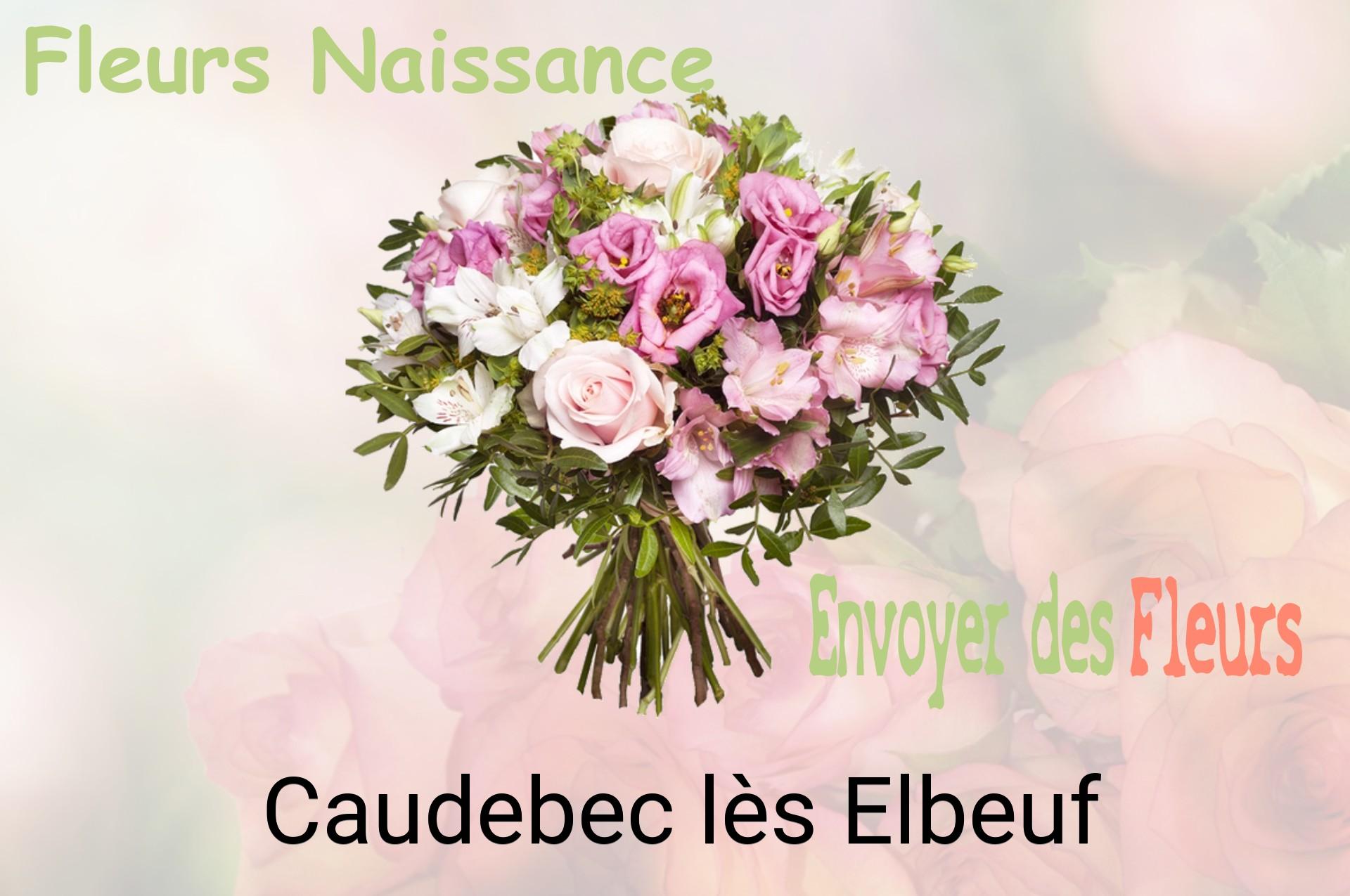 Bouquet de fleurs de naissance livré à Caudebec-lès-Elbeuf