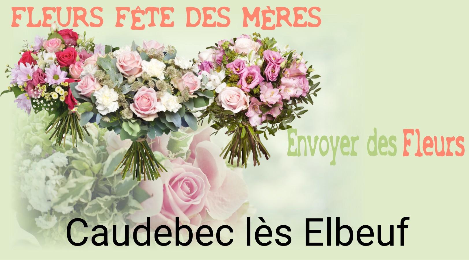 Bouquet de Fête des Mères livré à Caudebec-lès-Elbeuf